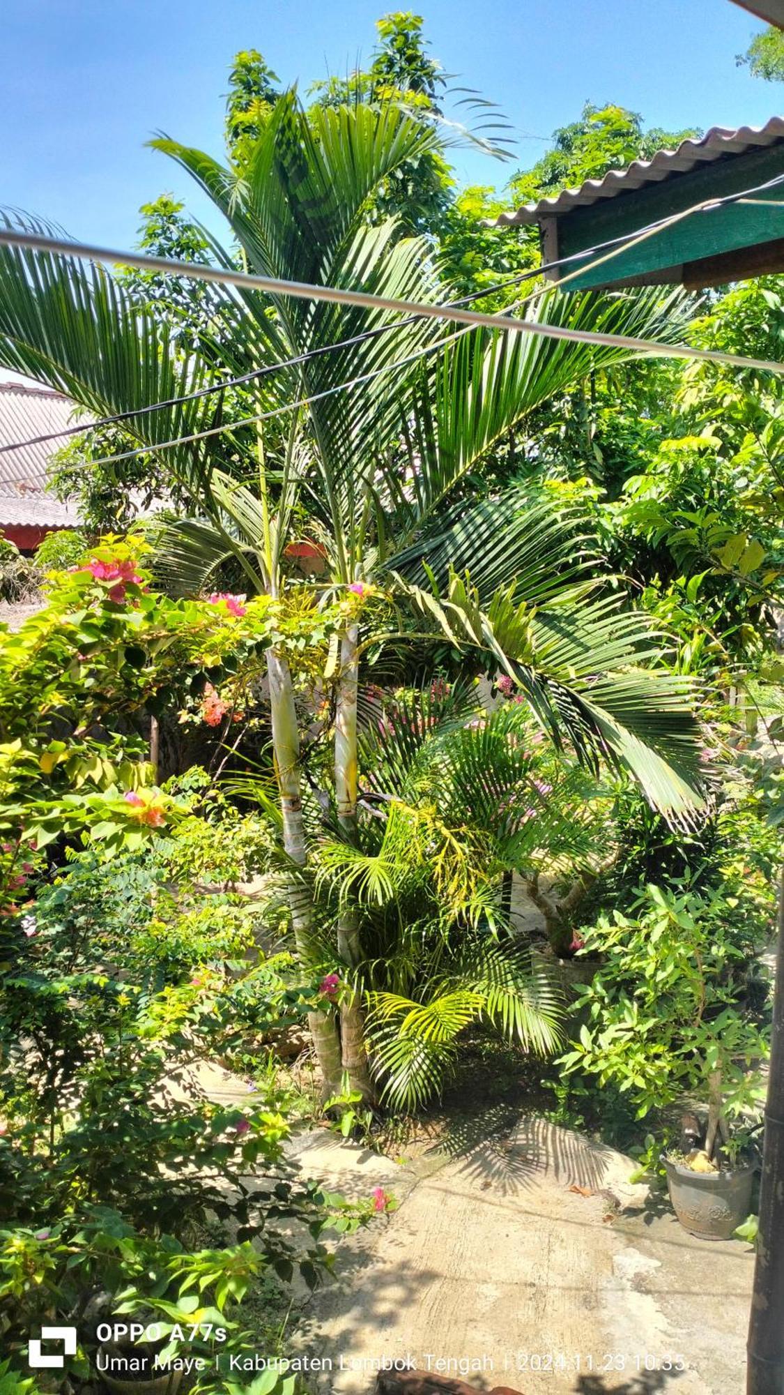 Nadil Homestay Kuta  Экстерьер фото